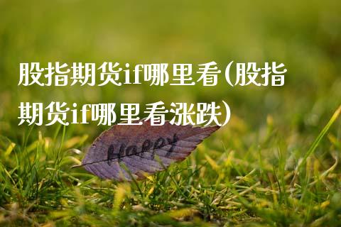 股指期货if哪里看(股指期货if哪里看涨跌) (https://www.njaxzs.com/) 期货行情 第1张