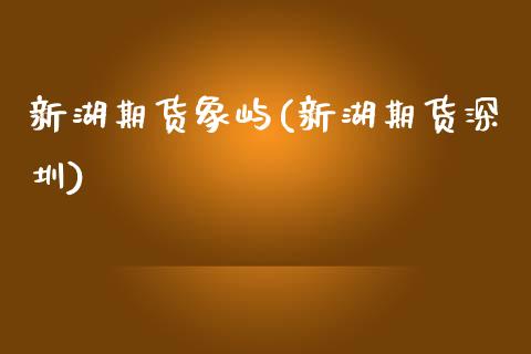 新湖期货象屿(新湖期货深圳) (https://www.njaxzs.com/) 期货行情 第1张