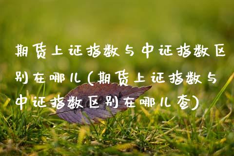 期货上证指数与中证指数区别在哪儿(期货上证指数与中证指数区别在哪儿查) (https://www.njaxzs.com/) 内盘期货 第1张