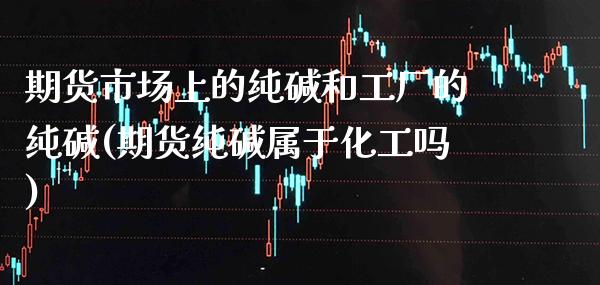 期货市场上的纯碱和工厂的纯碱(期货纯碱属于化工吗) 内盘期货 第1张-爱新财经 期货市场上的纯碱和工厂的纯碱(期货纯碱属于化工吗) (https://www.njaxzs.com/) 内盘期货 第1张