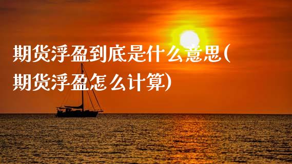 期货浮盈到底是什么意思(期货浮盈怎么计算) (https://www.njaxzs.com/) 原油期货 第1张