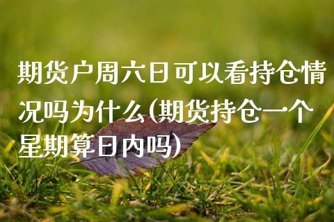 期货户周六日可以看持仓情况吗为什么(期货持仓一个星期算日内吗) (https://www.njaxzs.com/) 黄金期货 第1张