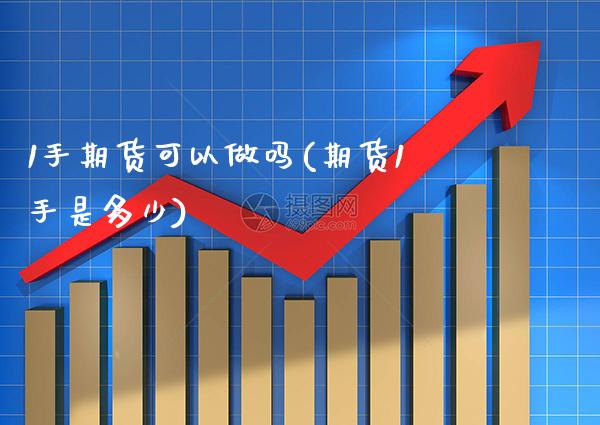 1手期货可以做吗(期货1手是多少) (https://www.njaxzs.com/) 内盘期货 第1张