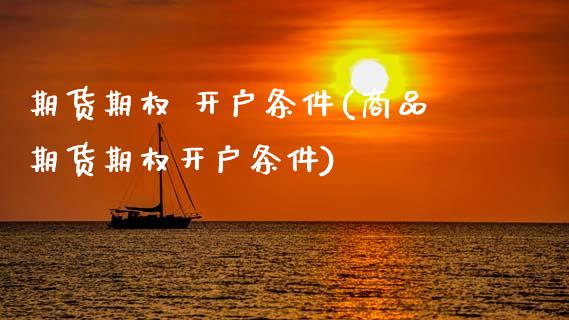 期货期权 开户条件(商品期货期权开户条件) (https://www.njaxzs.com/) 期货直播间 第1张