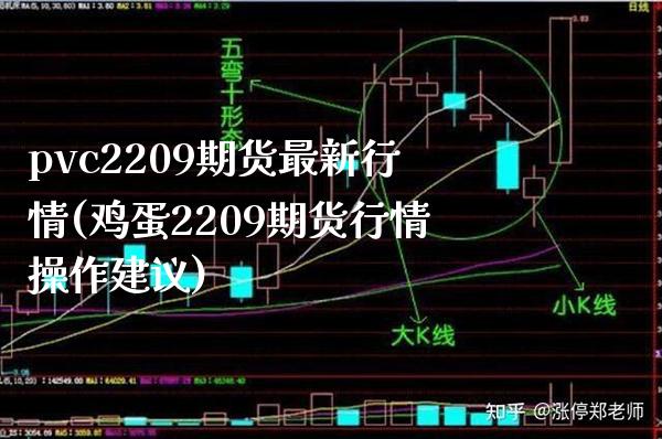 pvc2209期货最新行情(鸡蛋2209期货行情操作建议) (https://www.njaxzs.com/) 期货开户 第1张