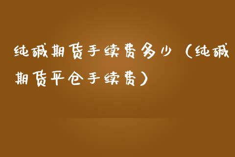 纯碱期货手续费多少（纯碱期货平仓手续费） (https://www.njaxzs.com/) 内盘期货 第1张