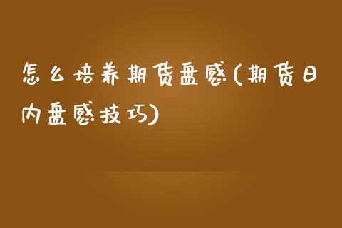 怎么培养期货盘感(期货日内盘感技巧) (https://www.njaxzs.com/) 期货开户 第1张
