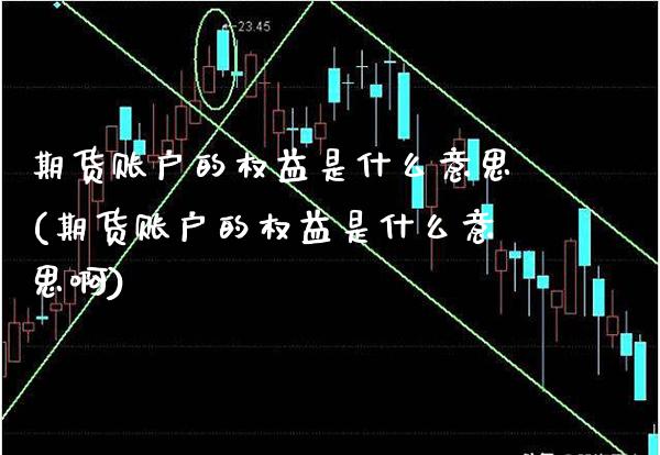期货账户的权益是什么意思(期货账户的权益是什么意思啊) (https://www.njaxzs.com/) 期货直播间 第1张