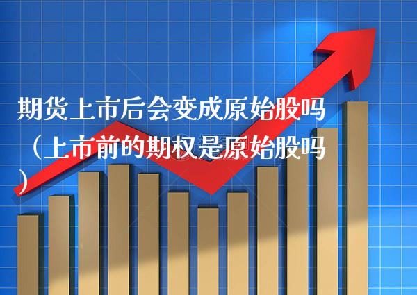 期货上市后会变成原始股吗（上市前的期权是原始股吗） (https://www.njaxzs.com/) 期货直播间 第1张