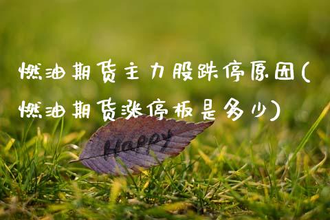 燃油期货主力股跌停原因(燃油期货涨停板是多少) (https://www.njaxzs.com/) 期货投资 第1张