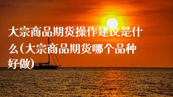 大宗商品期货操作建议是什么(大宗商品期货哪个品种好做) (https://www.njaxzs.com/) 原油期货 第1张