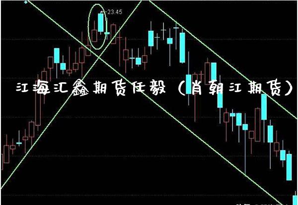 江海汇鑫期货任毅（肖朝江期货） (https://www.njaxzs.com/) 期货直播间 第1张