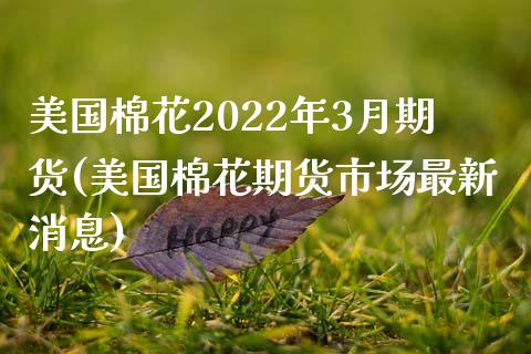 美国棉花2022年3月期货(美国棉花期货市场最新消息) (https://www.njaxzs.com/) 期货开户 第1张