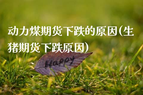 动力煤期货下跌的原因(生猪期货下跌原因) (https://www.njaxzs.com/) 期货行情 第1张