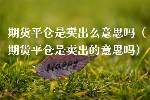 期货平仓是卖出么意思吗（期货平仓是卖出的意思吗） (https://www.njaxzs.com/) 内盘期货 第1张