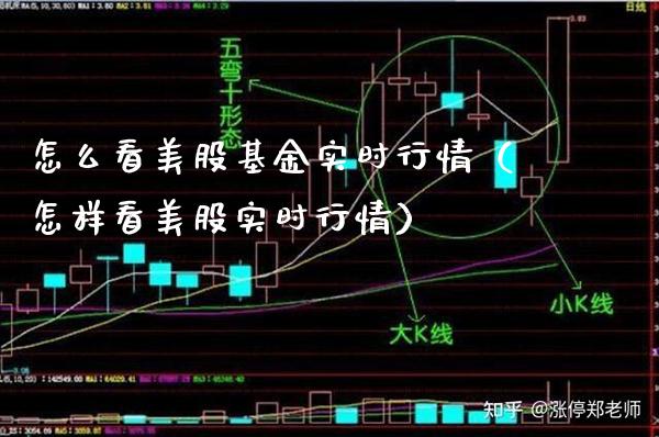 怎么看美股基金实时行情（怎样看美股实时行情） (https://www.njaxzs.com/) 原油期货 第1张