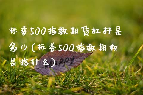标普500指数期货杠杆是多少(标普500指数期权是指什么) (https://www.njaxzs.com/) 原油期货 第1张
