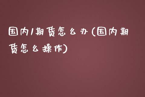 国内1期货怎么办(国内期货怎么操作) (https://www.njaxzs.com/) 期货直播间 第1张