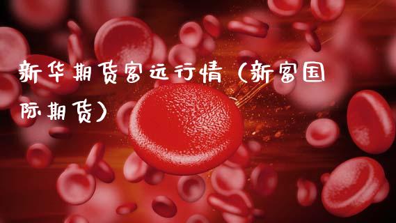 新华期货富远行情（新富国际期货） (https://www.njaxzs.com/) 黄金期货 第1张