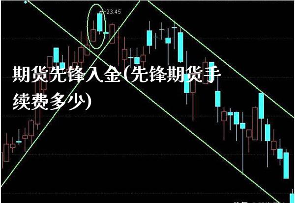 期货先锋入金(先锋期货手续费多少) (https://www.njaxzs.com/) 期货开户 第1张