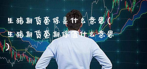 生猪期货套保是什么意思(生猪期货套期保值什么意思) (https://www.njaxzs.com/) 期货直播间 第1张