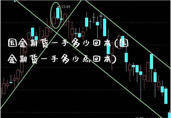 国金期货一手多少回本(国金期货一手多少点回本) (https://www.njaxzs.com/) 原油期货 第1张