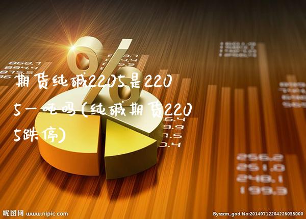 期货纯碱2205是2205一吨吗(纯碱期货2205跌停) (https://www.njaxzs.com/) 期货行情 第1张