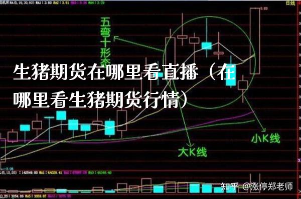 生猪期货在哪里看直播（在哪里看生猪期货行情） (https://www.njaxzs.com/) 期货直播间 第1张