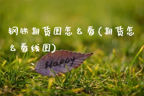钢铁期货图怎么看(期货怎么看线图) (https://www.njaxzs.com/) 原油期货 第1张