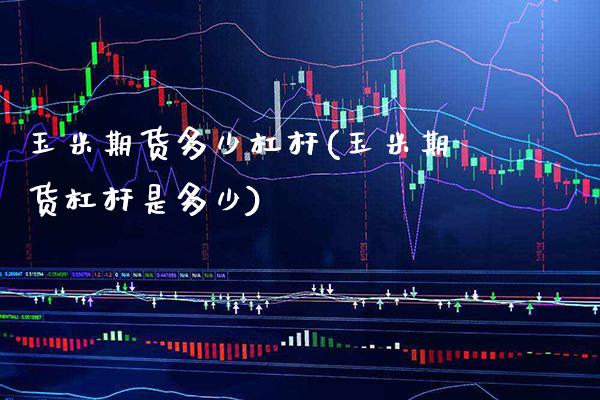 玉米期货多少杠杆(玉米期货杠杆是多少) (https://www.njaxzs.com/) 期货投资 第1张