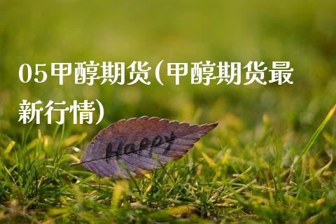 05甲醇期货(甲醇期货最新行情) (https://www.njaxzs.com/) 期货直播间 第1张