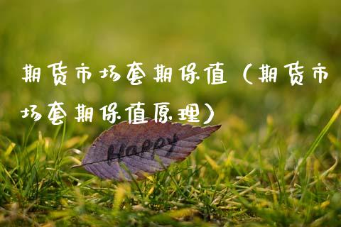 期货市场套期保值（期货市场套期保值原理） (https://www.njaxzs.com/) 期货行情 第1张