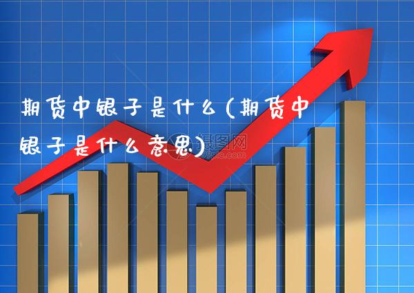 期货中银子是什么(期货中银子是什么意思) (https://www.njaxzs.com/) 期货直播间 第1张