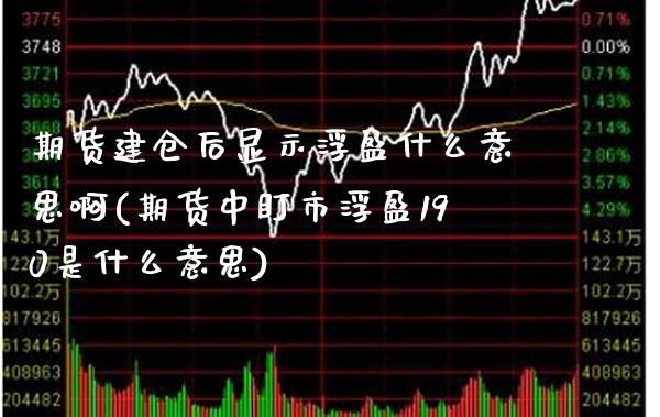 期货建仓后显示浮盈什么意思啊(期货中盯市浮盈190是什么意思) (https://www.njaxzs.com/) 黄金期货 第1张