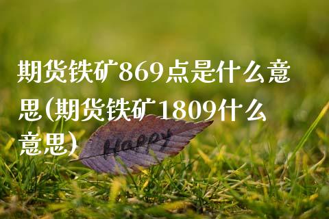 期货铁矿869点是什么意思(期货铁矿1809什么意思) (https://www.njaxzs.com/) 期货直播间 第1张