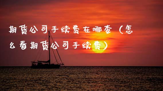 期货公司手续费在哪查(怎么看期货公司手续费) 期货直播间 第1张-爱新财经 期货公司手续费在哪查(怎么看期货公司手续费) (https://www.njaxzs.com/) 期货直播间 第1张