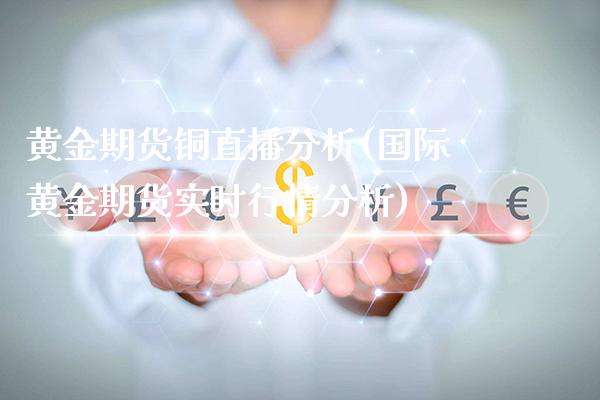 黄金期货铜直播分析(国际黄金期货实时行情分析) (https://www.njaxzs.com/) 期货投资 第1张