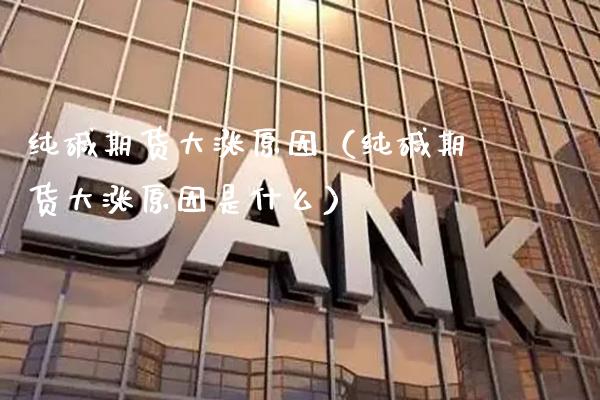 纯碱期货大涨原因（纯碱期货大涨原因是什么） (https://www.njaxzs.com/) 内盘期货 第1张