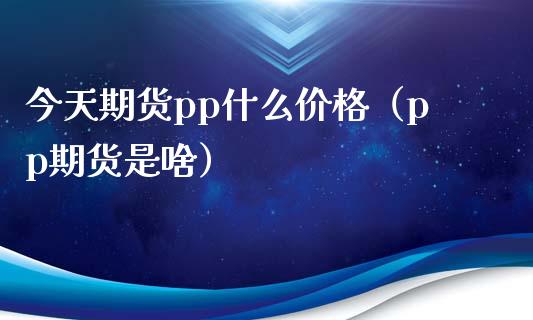 今天期货pp什么（pp期货是啥） (https://www.njaxzs.com/) 期货直播间 第1张