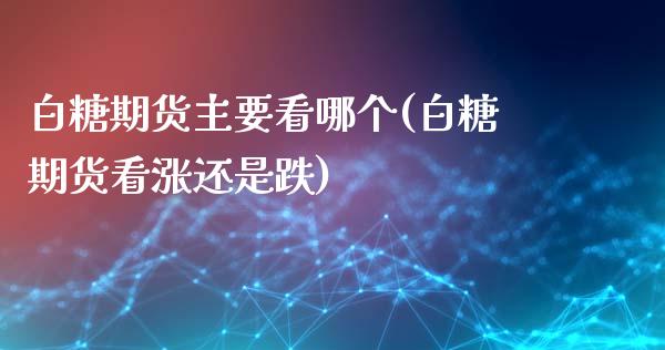 白糖期货主要看哪个(白糖期货看涨还是跌) (https://www.njaxzs.com/) 期货直播间 第1张