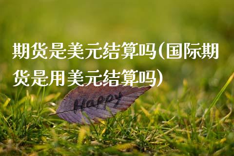 期货是美元结算吗(国际期货是用美元结算吗) (https://www.njaxzs.com/) 黄金期货 第1张