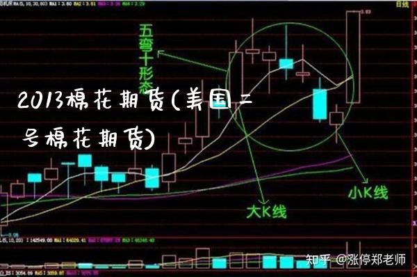 2013棉花期货(美国二号棉花期货) (https://www.njaxzs.com/) 内盘期货 第1张