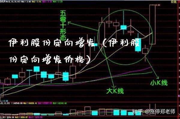 伊利股份定向增发（伊利股份定向增发） (https://www.njaxzs.com/) 黄金期货 第1张