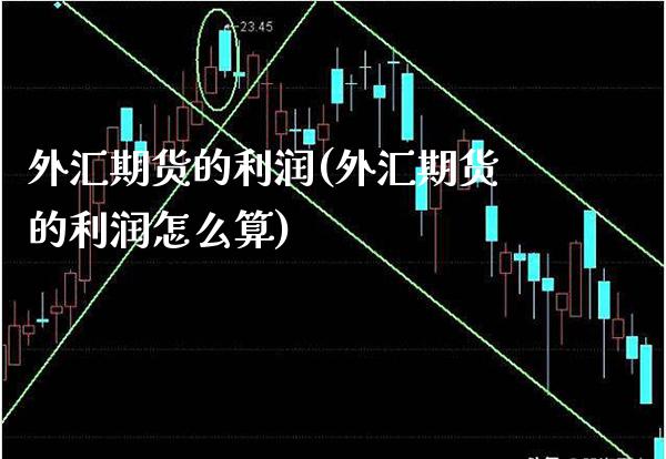 外汇期货的利润(外汇期货的利润怎么算) (https://www.njaxzs.com/) 期货直播间 第1张