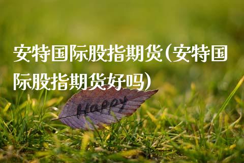 安特国际股指期货(安特国际股指期货好吗) (https://www.njaxzs.com/) 期货开户 第1张