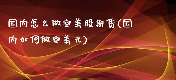 国内怎么做空美股期货(国内如何做空美元) (https://www.njaxzs.com/) 内盘期货 第1张