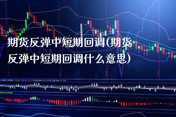 期货反弹中短期回调(期货反弹中短期回调什么意思) (https://www.njaxzs.com/) 黄金期货 第1张