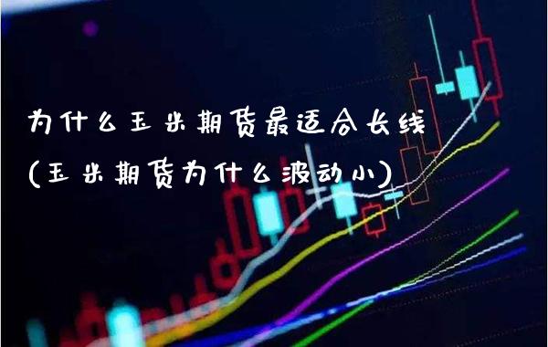 为什么玉米期货最适合长线(玉米期货为什么波动小) (https://www.njaxzs.com/) 内盘期货 第1张