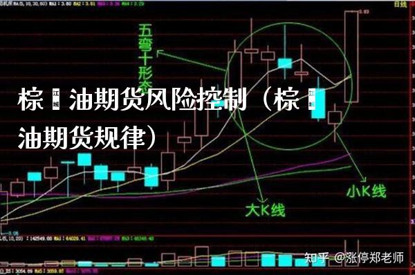 棕榈油期货风险控制（棕榈油期货规律） (https://www.njaxzs.com/) 内盘期货 第1张