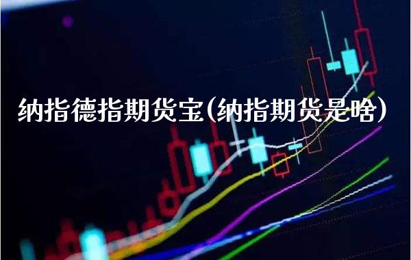 纳指德指期货宝(纳指期货是啥) (https://www.njaxzs.com/) 期货行情 第1张